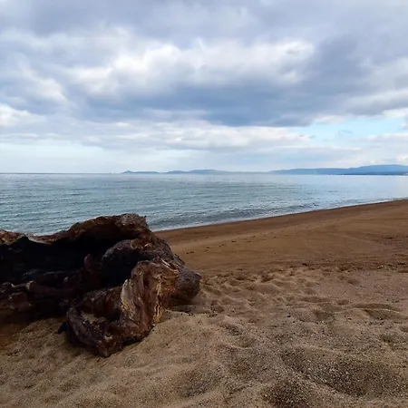 别墅 Zoe Sea Side